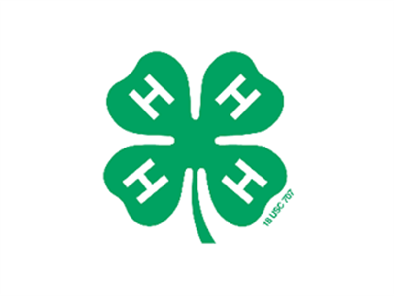 Logo for 2025 Medina Project Judging (Pre-Fair)