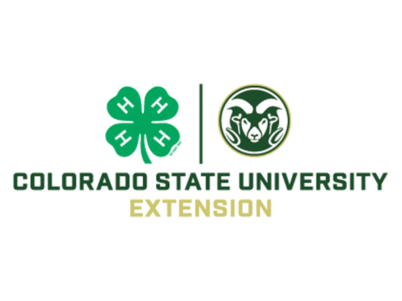 Fair Logo