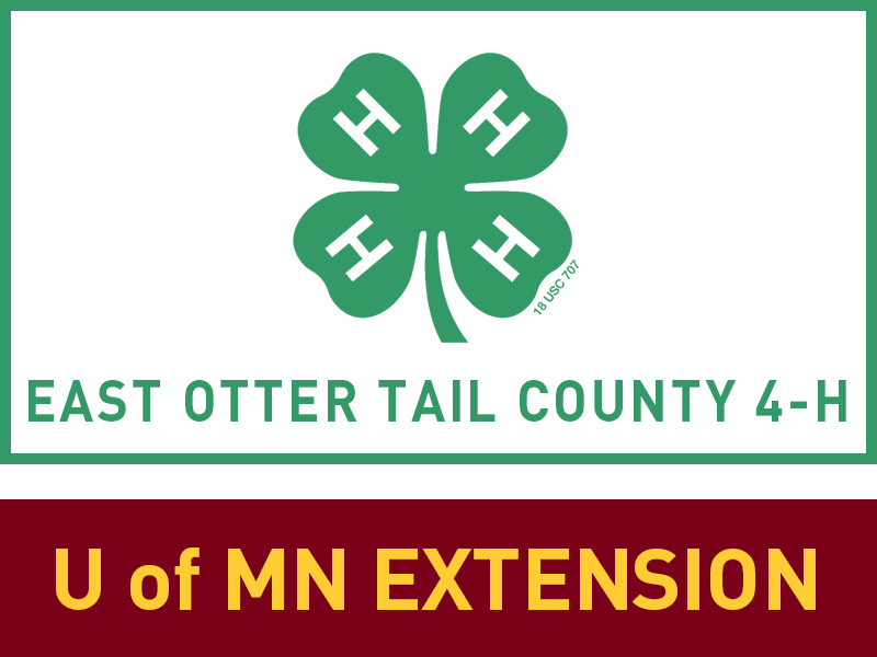 Logo for 2025 East Otter Tail County Fair