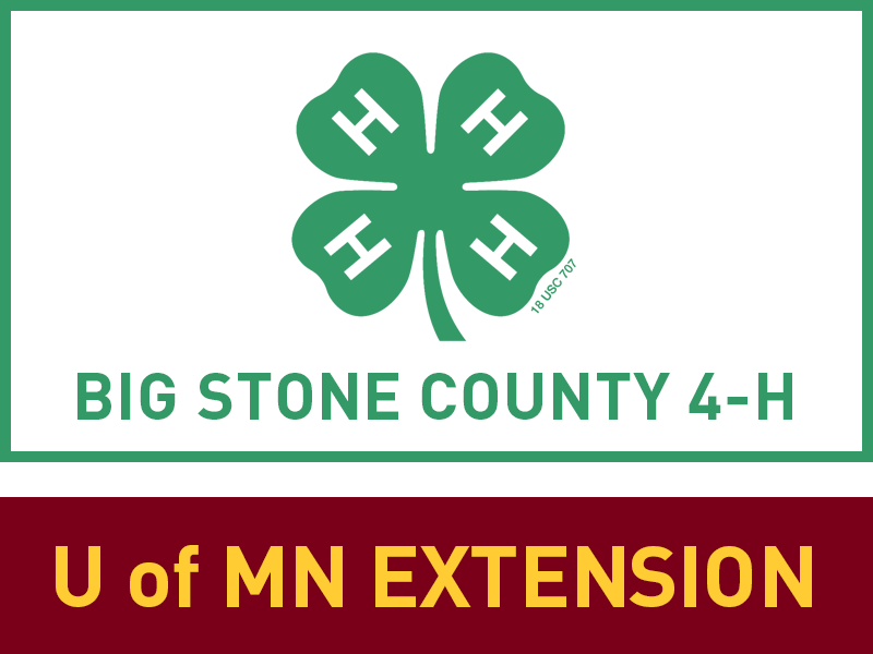 Logo for 2025 Big Stone County