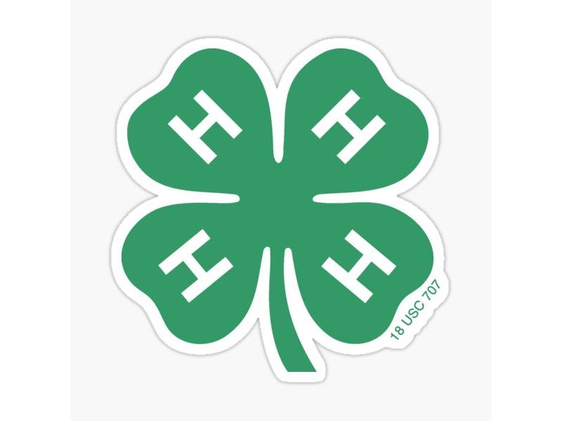 Logo for 2025 Custer County Fair