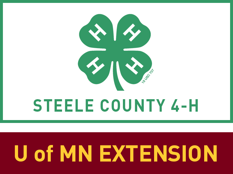 Logo for 2025 Steele County Fair