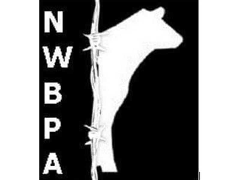 Logo for 2025 Kids and Cows Family Day