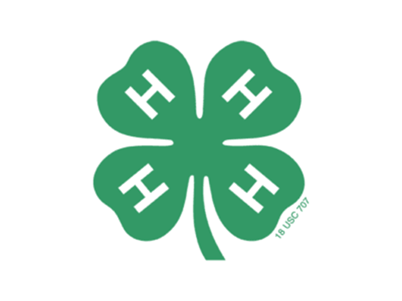 Logo for 2026 Calhoun-Cass-Greene-Morgan-Scott 4-H Horse Show